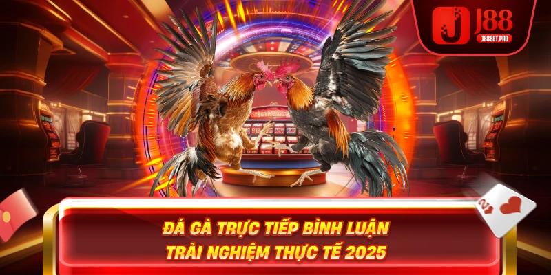 Đá Gà Trực Tiếp Bình Luận – Trải Nghiệm Thực Tế 2025