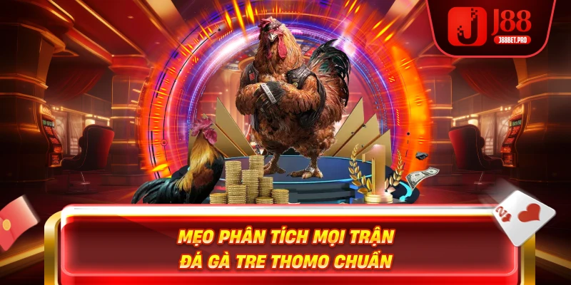 Mẹo phân tích mọi trận đá gà tre Thomo chuẩn